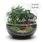 Large Terrarium Kit |'Zagreb', thumbnail 3 of 12