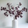 Three Faux Burgundy Eucalyptus Spray With Seeds, thumbnail 1 of 3