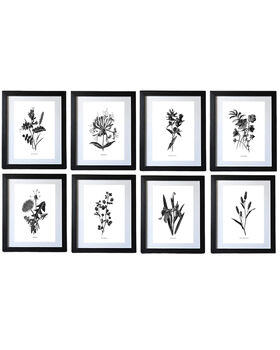Eight Framed Vintage Flower Art Prints, 11 of 11