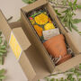 Birth Flower Seed Box Gift Set, thumbnail 1 of 7