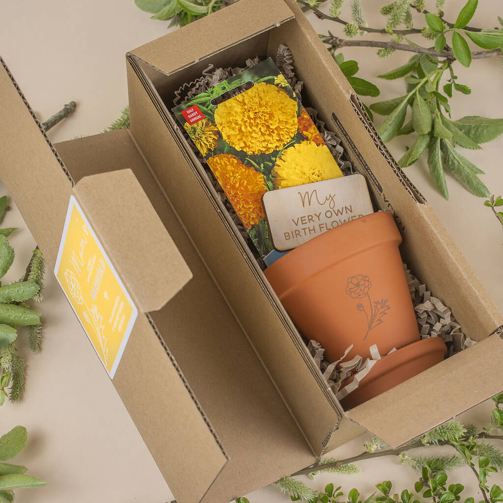 Birth Flower Seed Box Gift Set, 1 of 7