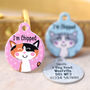 Cat ID Tag Personalised, thumbnail 8 of 12