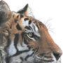Bengal Tiger Giclée Art Print, thumbnail 3 of 4