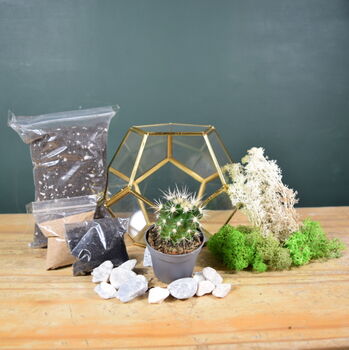 Gold Geometric Terrarium Kit With Succulent Christmas Plant Lover Gift, 4 of 7