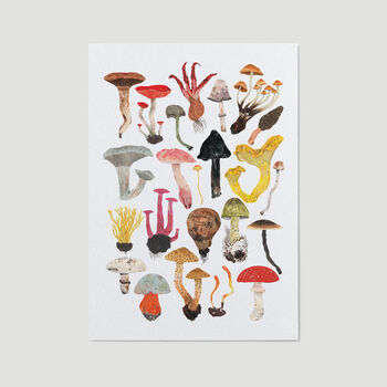 Mushroom And Toadstools Print, 2 of 8