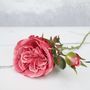 Luxury Summer Hand Tied Peony Bouquet, thumbnail 10 of 12