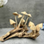 20cm Hand Carved Wooden Mushroom Figurine Coffee Root Wood, thumbnail 3 of 12