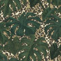 Monstera Leaf Wrapping Paper, thumbnail 3 of 3