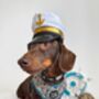 Shipwrecked Nautical Dog Harness, thumbnail 4 of 11
