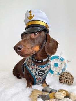 Shipwrecked Nautical Dog Harness, 4 of 11