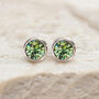 Sterling Silver August Peridot Birthstone Stud Earrings, thumbnail 3 of 9