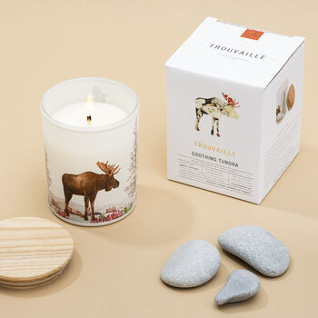 Save The Planet Candle: Soothing Tundra, 4 of 7