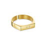 Adjustable Flat Faced Ring 18 K Gold Plated Steel, thumbnail 1 of 6