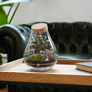 Closed Terrarium Kit With Glass Plants And More | Cuba, 8 of 8