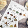 A Z Of Moths Tea Towel, thumbnail 1 of 7