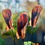 Set Of Three Copper Lily Garden Planter Stakes, thumbnail 9 of 10