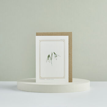 Botanist Archive Snowdrop Christmas Card, 3 of 4