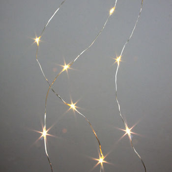 Wire Lights Copper Or Silver, 2 of 5