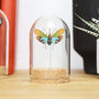 Saiva Lanternfly Bell Jar, thumbnail 1 of 4