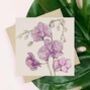 'Floribunda' Mixed Pack Of Ten Greeting Cards, thumbnail 1 of 10