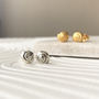 Little Sterling Silver Seashell Earrings, thumbnail 2 of 9