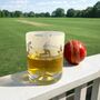 Cricket Batsmen Etched Glass Tumbler, thumbnail 1 of 8