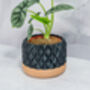 Carbon Gem Planter, thumbnail 4 of 4