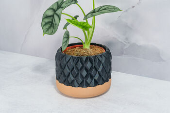 Carbon Gem Planter, 4 of 4