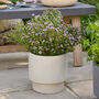 Noma Beige Footed Planter, thumbnail 1 of 6