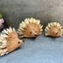 Set Three Handmade Hedgehog Ornaments Coconut, thumbnail 1 of 12