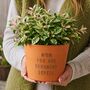 Engraved Terracotta Flower Pot, thumbnail 1 of 7
