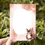 Inky Squirrel Luxury Postcards, thumbnail 3 of 11