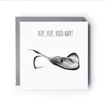 Hip Hip Hoo Ray Stingray Card, 3 of 7