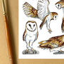 Barn Owls Wildlife Watercolour Postcard, thumbnail 7 of 9