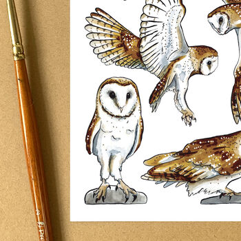 Barn Owls Wildlife Watercolour Postcard, 7 of 9