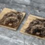Set Of Two Cockapoo Coasters, thumbnail 1 of 3