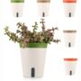 Set Of Six Plastic Self Watering Planter Pot, thumbnail 3 of 7