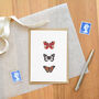 Butterfly Trio Notecard, thumbnail 2 of 3