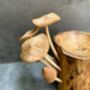 Mushroom Tealight Incense Holder Handmade Teak Wooden Gift, thumbnail 4 of 7