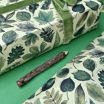 Botanical Leaves Wrapping Paper Set, 7 of 10