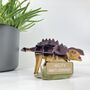 Build Your Own Personalised Ankylosaurus, thumbnail 9 of 9