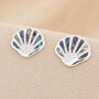 Sterling Silver Paua Sea Shell Stud Earrings – 10mm, thumbnail 1 of 5