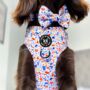 Dog Collar In Orange Blue Terrazzo Strong And Padded, thumbnail 4 of 4