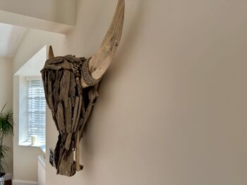 61cm Driftwood Bull Head With Horns Wooden Wall Decor, 6 of 9