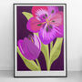 Attila Graffiti Tulip, Giclee Art Print / Wall Art, Bright, Floral, Botanical, Home Decor, Interior, Illustrated, Pink, Purple, Bold A4 / A3, thumbnail 1 of 3