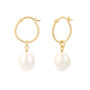 18ct Gold Plated Round Pearl Creole Hoop Earrings, thumbnail 3 of 7