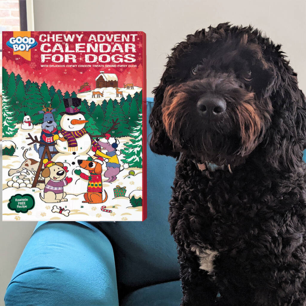 Christmas Advent Calendar For Dogs