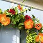 Large Summer Floral Wreath, thumbnail 8 of 8