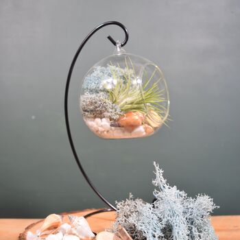 Diy Air Plant Terrarium Kit Hanging Terrarium Gift Light Blue, 9 of 9