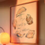 The World Is Your Oyster Illustrated Art Print, thumbnail 4 of 5